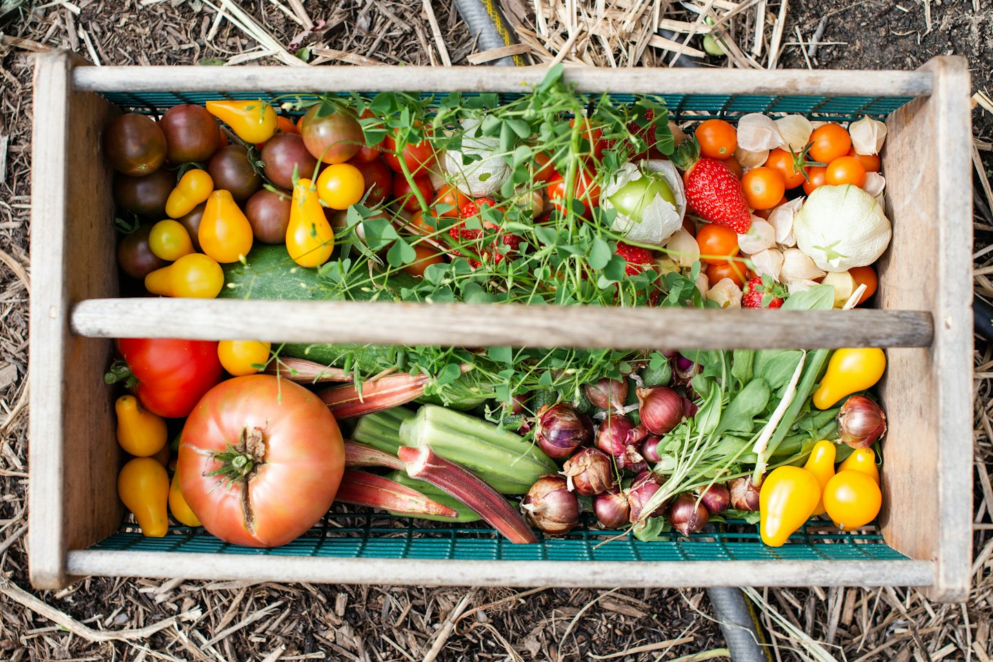 Caja rústica rebosante de tomates frescos, fresas y verduras.
