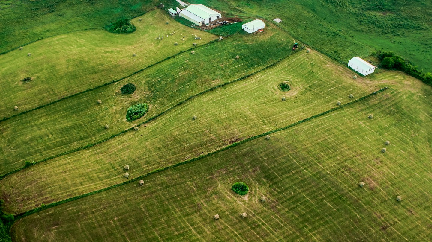 Vista aérea de campos de heno verdes con árboles.